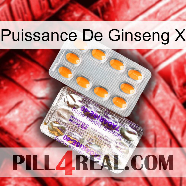 Ginseng Power X new12